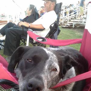 Meet your Posher, Kara